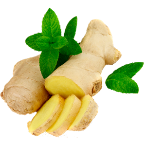 Ginger PNG-16777